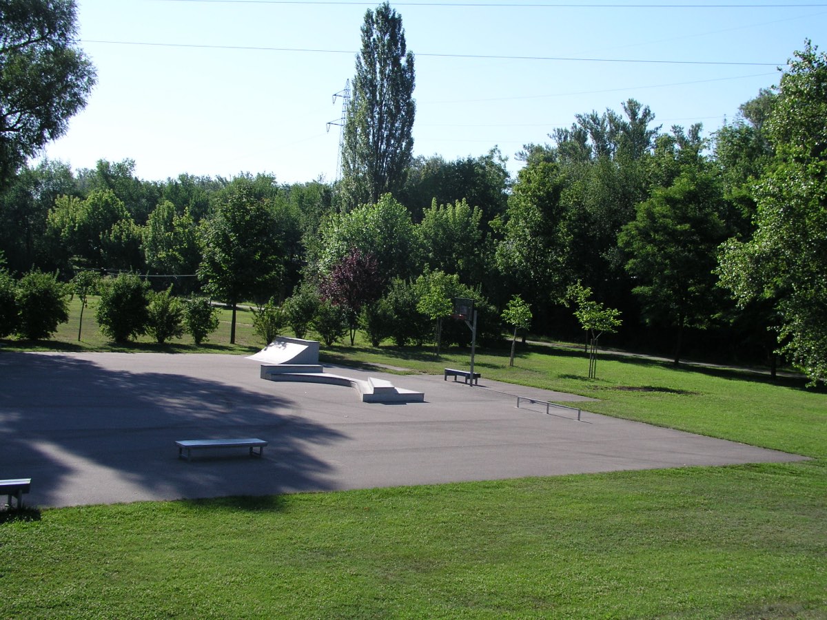Der fertige alte Skatepark: eine asphaltierte Fläche mit Quarterpipe, Funbox, Grindrails und Bänken, dahinter Pappeln und Au